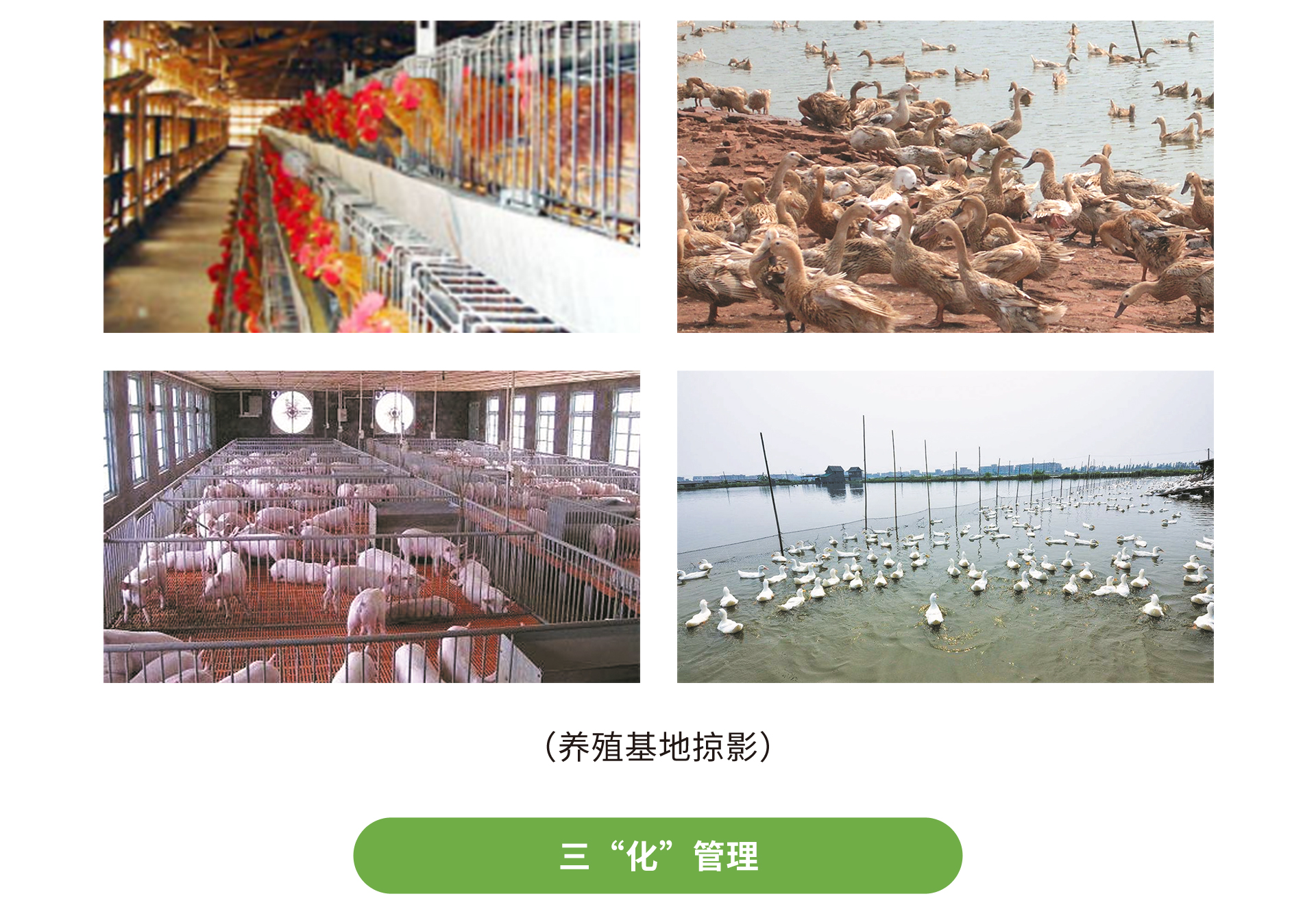 廣東憫農膳食管理服務有限公司 廣東憫農膳食管理服務有限公司