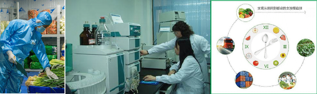 廣東憫農(nóng)膳食管理服務(wù)有限公司 廣東憫農(nóng)膳食管理服務(wù)有限公司