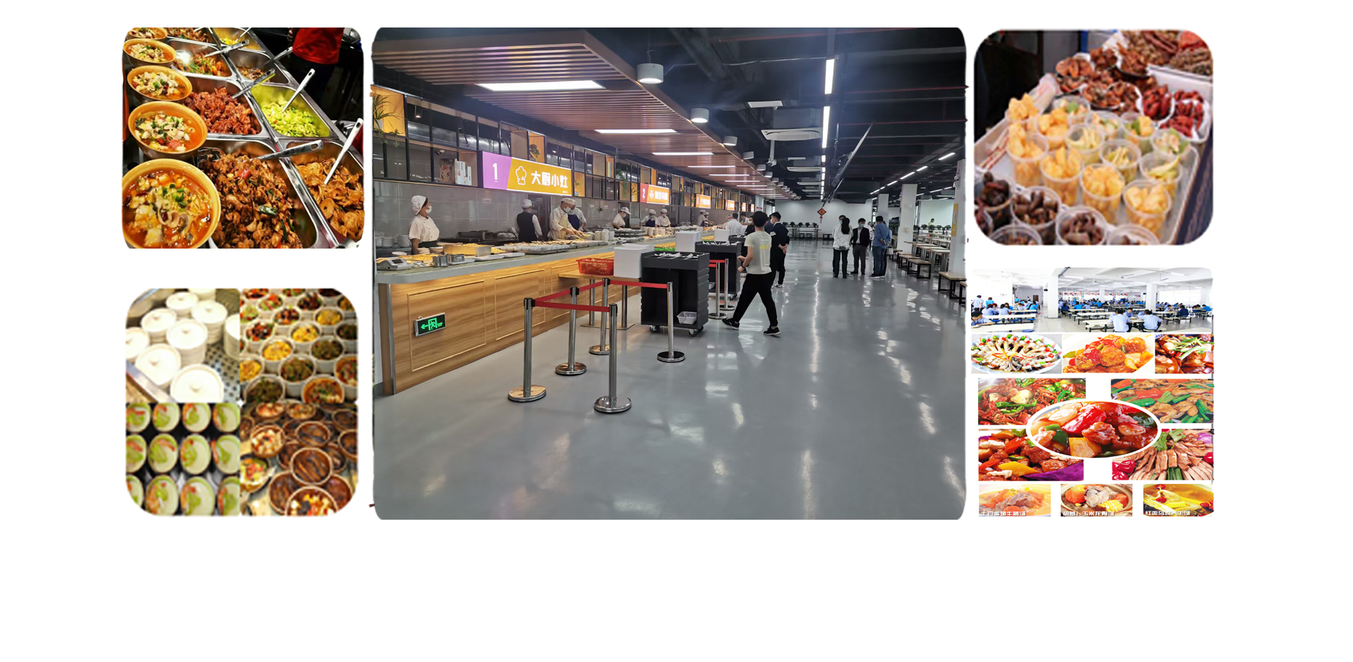 廣東憫農膳食管理服務有限公司 廣東憫農膳食管理服務有限公司